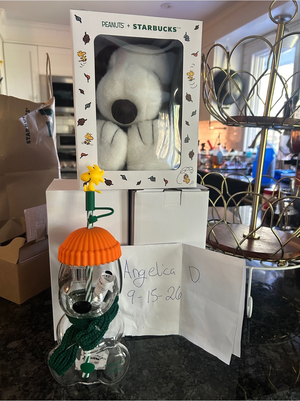 Starbucks White Peanuts Snoopy Plush Stuffed Animal